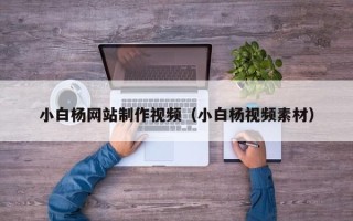 开封小白杨网站制作视频（小白杨视频素材）
